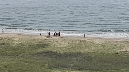 부산 다대포해수욕장서 파도에 휩쓸린 어린이 숨져 / YTN