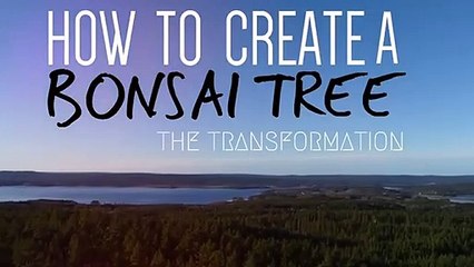 삼양출장안마 -후불100%ョOiOW2671W8135｛카톡LA369｝ 삼양전지역출장마사지 삼양오피걸 삼양출장안마 삼양출장마사지 삼양출장안마  삼양출장콜걸샵안마 삼양출장아로마◓∾◟ 삼양출장샵