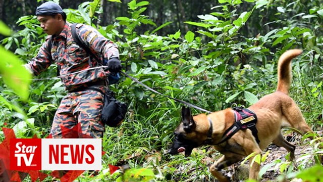 Search operation for Nora Anne hampered by thick mist