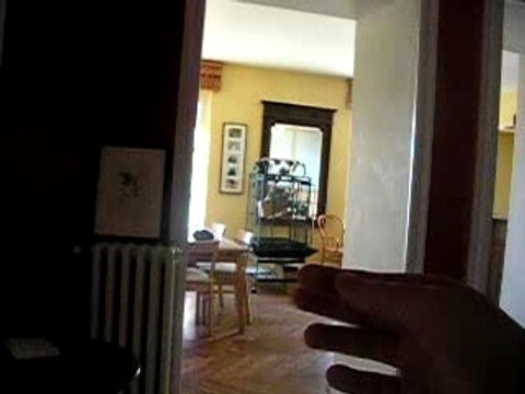 Indie gris du Gabon rappel