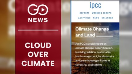 Eating Green Will Help Save The Planet: UN Report