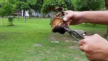 성남출장안마 -후불100%ョØ1ØM2997M5327｛카톡WD777｝ 성남전지역출장마사지 성남오피걸 성남출장안마 성남출장마사지 성남출장안마  성남출장콜걸샵안마 성남출장아로마∴◔∪ 성남출장샵