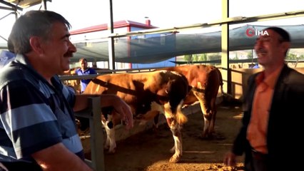 Bingöl'de kurban pazarı ve çarşıda son gün yoğunluğu