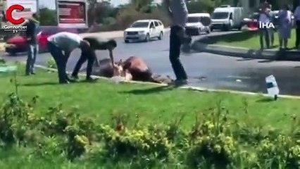 Kapalı kasada havasız kalan kurbanlık, cadde ortasında kesildi!