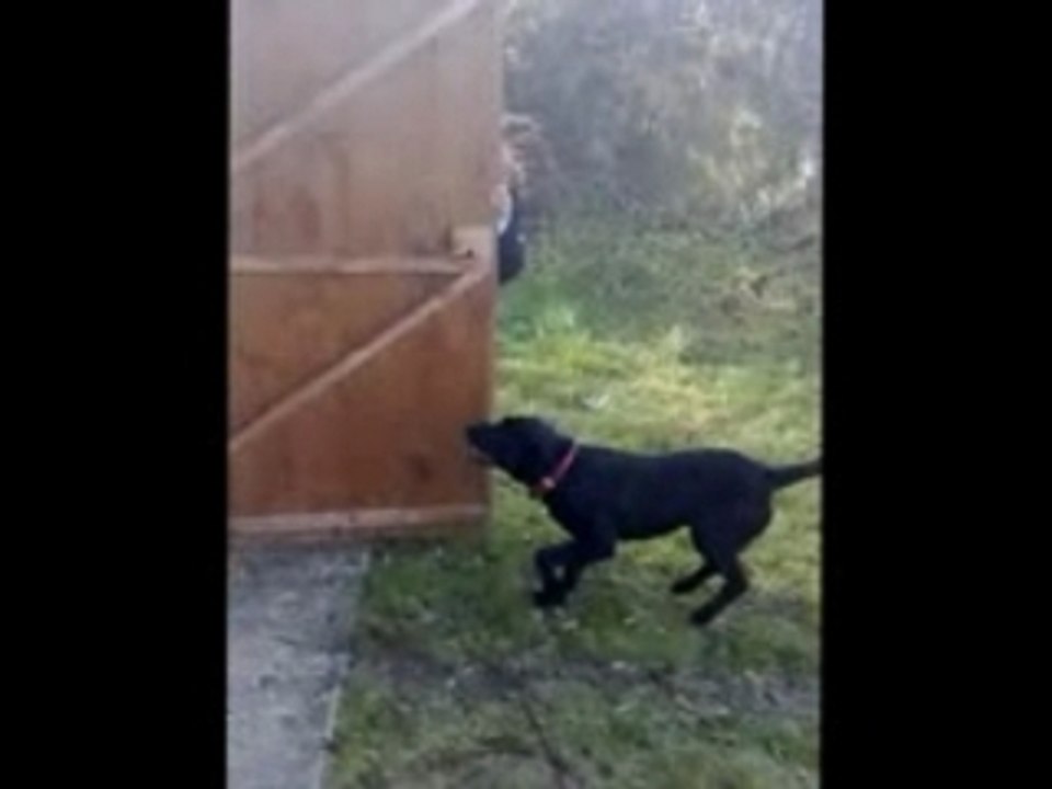 Léo Ninja