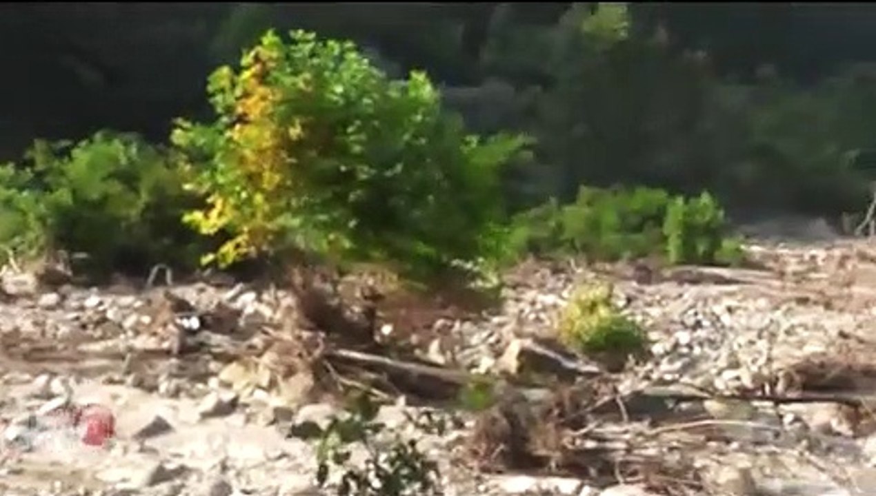KOÇULU SEL