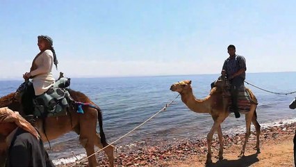 Camel Ride Journey In 3 Pools  Dahab Trip