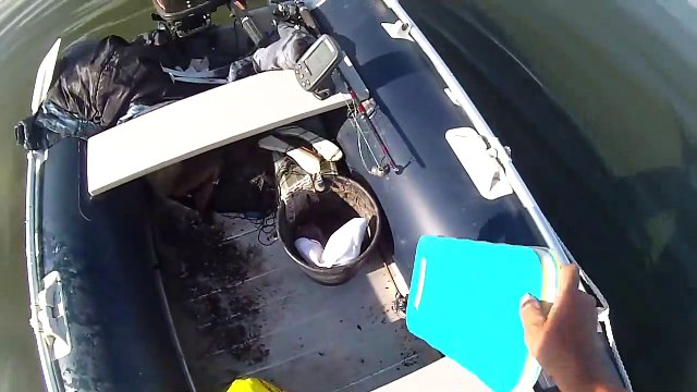 Som 94.5 kg Сом 94,5 кг