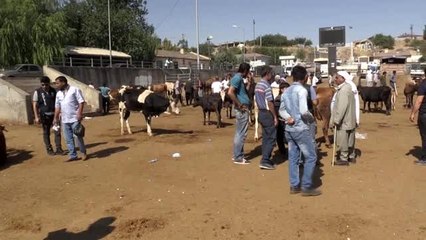 Kurban satıcılarına sahte para uyarısı