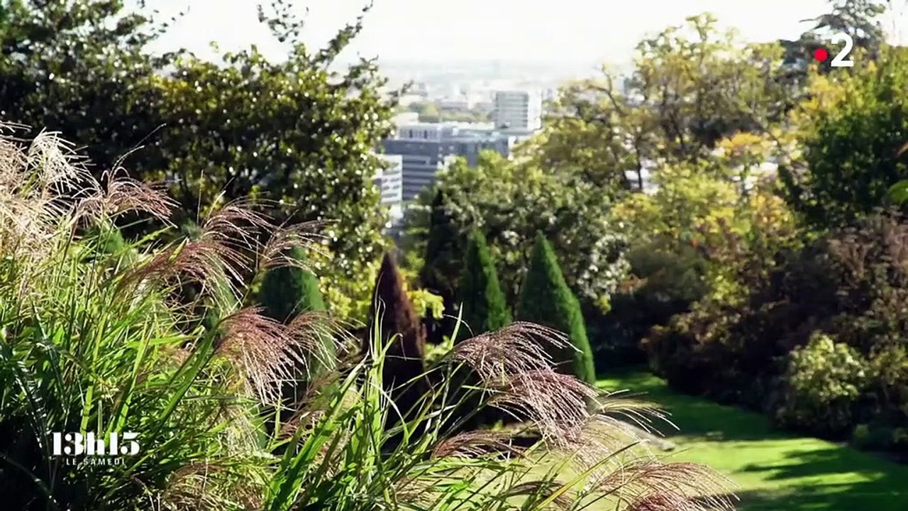 Quand le jardin lyonnais d'Odile a servi de terre d'accueil à Mirwais, un réfugié afghan aux mains vertes