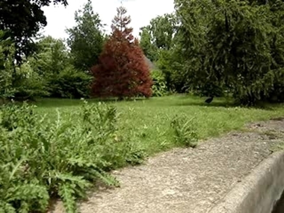 riviere enchantée avec twin sister