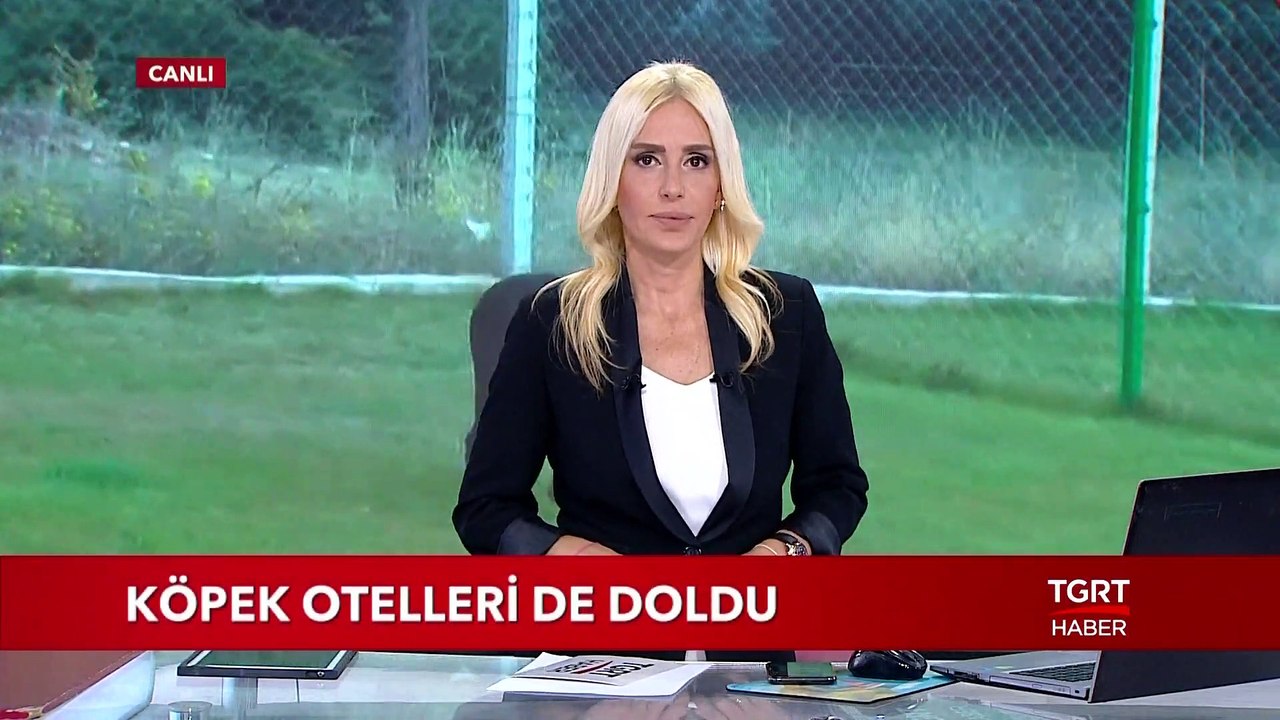 Köpek Otelleri Doldu Taştı