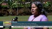 teleSUR Noticias: Juez ordena investigar a magistrado de TSE Guatemala