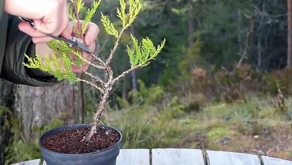 밀양출장안마 -후불1ØØ%ョOiON7467N4367｛카톡RQ43｝ 밀양전지역출장마사지 밀양오피걸 밀양출장안마 밀양출장마사지 밀양출장안마 밀양출장콜걸샵안마 밀양출장아로마 밀양출장≊㍎へ