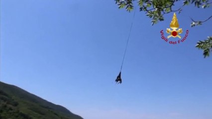  Les pompiers italiens ont hélitreuillé... une vache