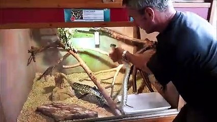 Le vétérinaire du parc zoologique de Saint-Martin-la-Plaine