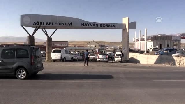 Doğu'da hayvan pazarlarında arife yoğunluğu