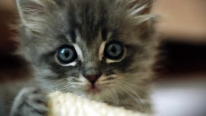 강북출장안마 -후불1ØØ%ョØ7ØM7575M0062｛카톡DDR88｝ 강북전지역출장마사지 강북오피걸 강북출장안마 강북출장마사지 강북출장안마  강북출장콜걸샵안마 강북출장아로마≵≓⊁ 강북출장샵