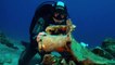 Ancient Cargo-Laden Shipwrecks Discovered Near Greek Island
