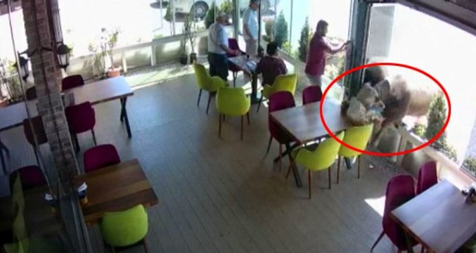 Çorum'da sahibinden kaçan kızgın boğa, kafeyi birbirine kattı! O anlar kameraya yansıdı