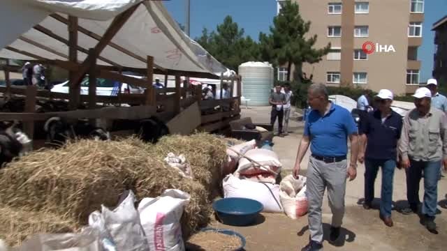 Üsküdar Belediye Başkanı Hilmi Türkmen, kurban pazarını denetledi