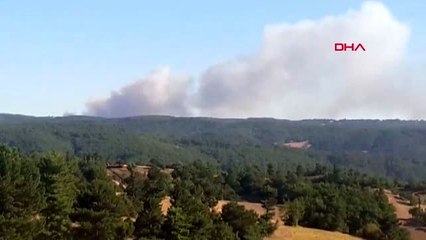 KÜTAHYA Tavşanlı'da orman yangını -1