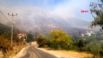 BALIKESİR Marmara ilçesinde ormanlık alanda yangın-2