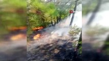 Gebze'de orman ve çalılık alan yangını
