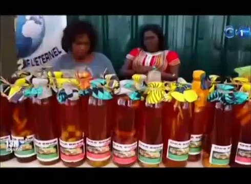 RTG - Échange entre le Ministre du commerce et des représentants du Groupe COVEC - Construction d’un centre d’exposition des produits Made in Gabon à Libreville