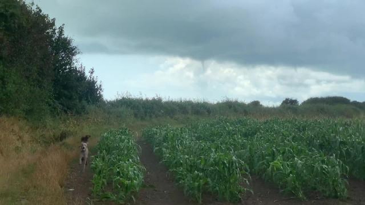 Video via jenni purple