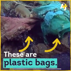 Έξαλλος ο Di Caprio - Τι συνέβη;