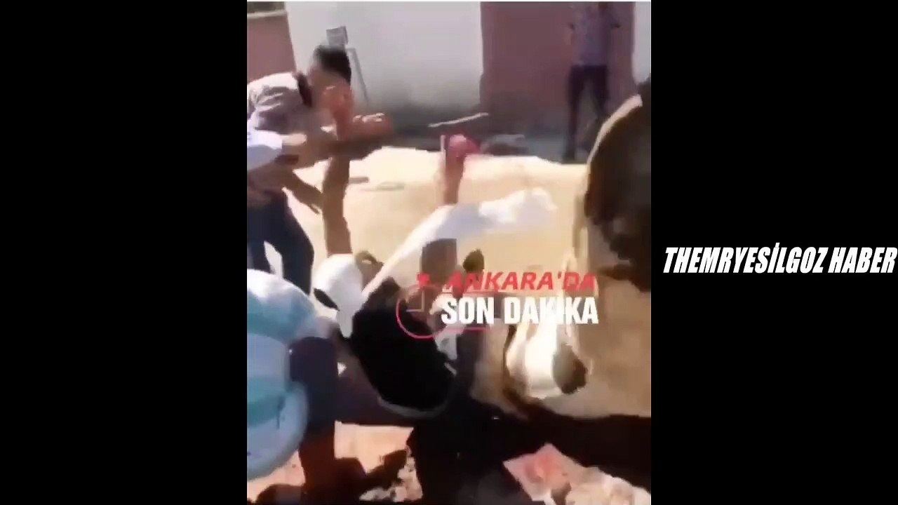 ACEMİ KASABIN YÜZÜNÜ DAĞITAN ÇİFTE-ANKARA/AKYURT-12 AĞUSTOS 2019