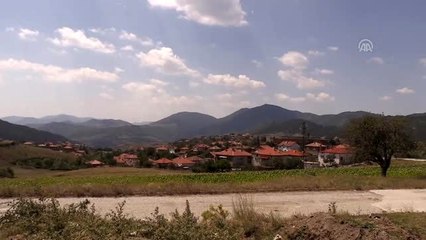 Bayram şekeri toplamaya giden çocuğun ölümü anısına "Şeker Günü" geleneği