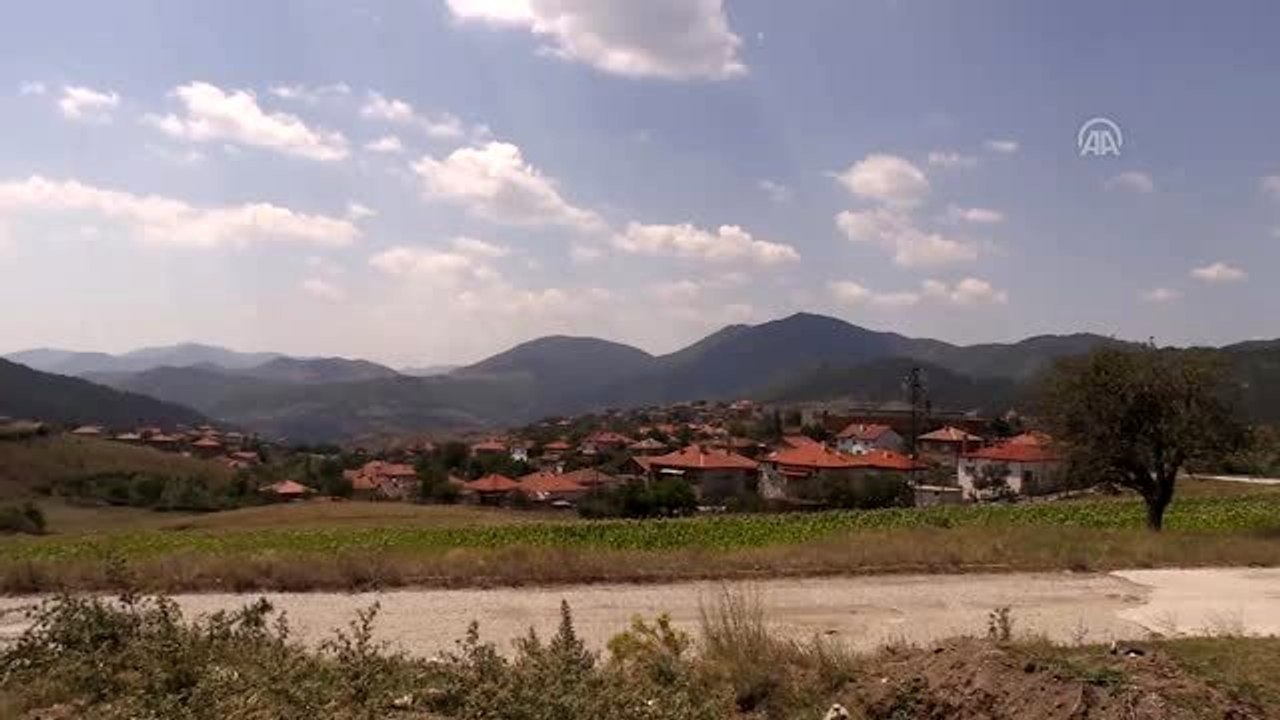 Bayram şekeri toplamaya giden çocuğun ölümü anısına "Şeker Günü" geleneği