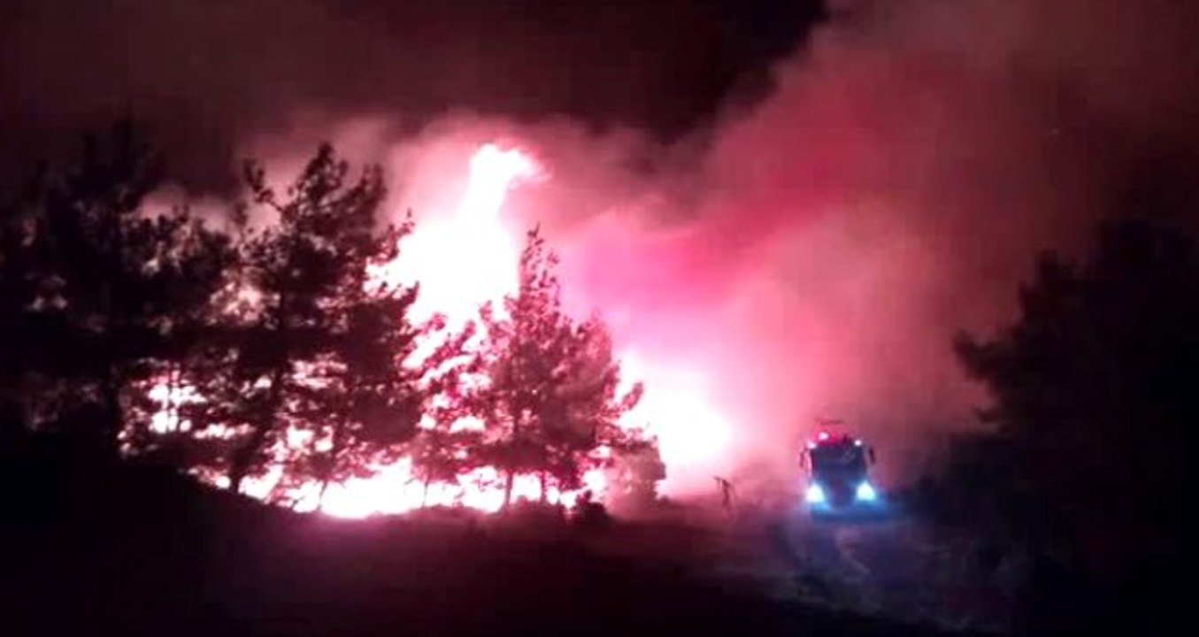 Tarihi Gelibolu Yarımadası'nda korkutan orman yangını!