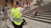 로마 명소 '스페인 계단' 통제 논란...앉기만 해도 벌금 / YTN