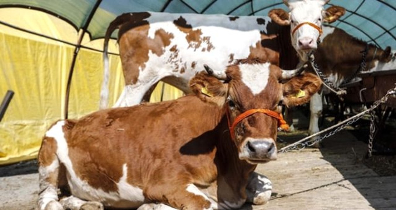 Kurban Bayramı'nda hava nasıl olacak? Meteoroloji hava durumu raporunu yayımladı
