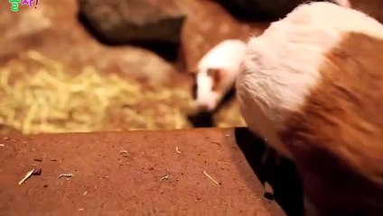 해남출장안마 -후불1ØØ%ョØ1ØZ6622Z4421｛카톡BB5858｝ 해남전지역출장마사지 해남오피걸 해남출장안마 해남출장마사지 해남출장안마 해남출장콜걸샵안마 해남출장아로마 해남출장㌢⻕◕