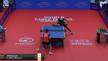 Aruna Quadri vs Mohamed El-Beiali | 2019 ITTF Nigeria Open Highlights (R16)