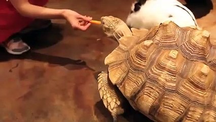 장유출장안마 -후불1ØØ%ョO7OV5222V6739｛카톡LA25｝ 장유전지역출장마사지 장유오피걸 장유출장안마 장유출장마사지 장유출장안마 장유출장콜걸샵안마 장유출장아로마 장유출장◑⊓⻋