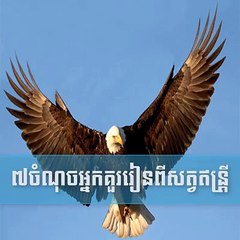 មាន 7 ចំណុចដែលអ្នកគួរឱ្យពីសត្វឥន្ទ្រី