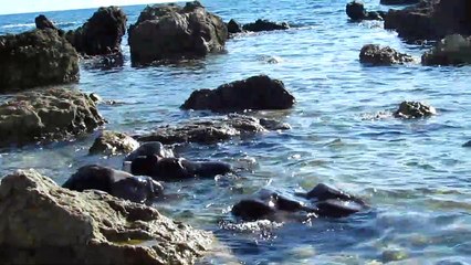 Yago al mare, giugno 2019