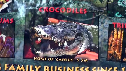 Crocodilo Gigante e Barreira de Coral na Australia - EMVB - Emerson Martins Video Blog 2013