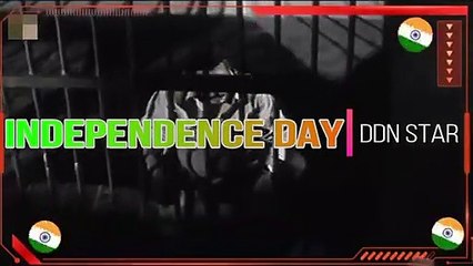 ❤#Best Independence Day Whatsapp Video Status 2019 ❤ Dailog whatsapp status Video ❤ #whatsapp video