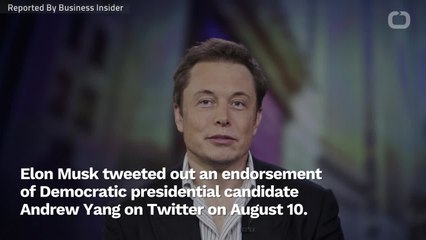 Tesla CEO Elon Musk Supports Andrew Yang
