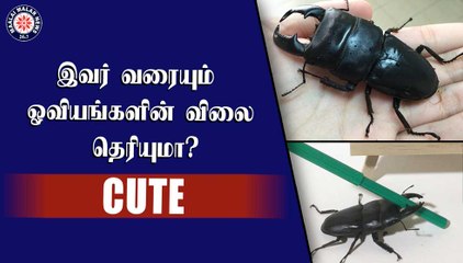 இவர் தான் ஓவியர் ஸ்பைக் ... இவர் வரையும் ஓவியங்களின் விலை தெரியுமா?