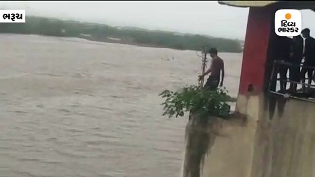 ભરૂચ / દશાશ્વમેઘ ઘાટ પાસે યુવાનોએ નર્મદા નદીમાં જોખમી છલાંગ લગાવી, વીડિયો વાયરલ