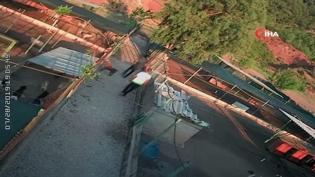 Barınağa giren hırsızlar pitbull cinsi köpekleri çalıp kaçtı