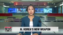 N. Korean media claims regime tested 