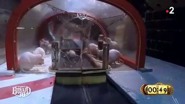 L'acteur Laurent Kerusoré pris de panique face à des rats lors d'une épreuve dans Fort Boyard sur France 2